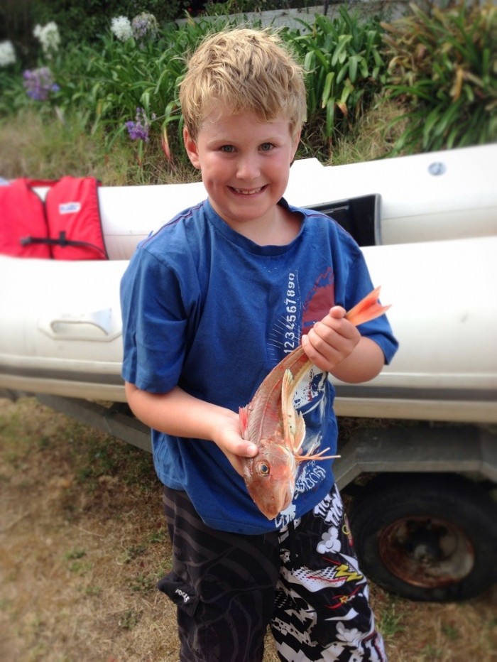 First_Gurnard_2013.jpg