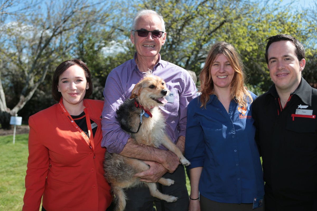 The Nelson Ark – Helping Teens and Rescue Dogs Move Forward
