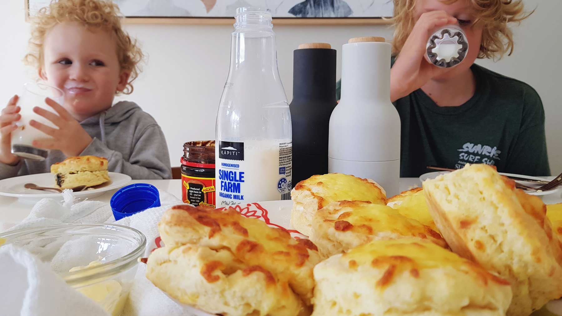 New Zealand's Top Mummy Blogger Parenting Travel Blog Family Organic Milk